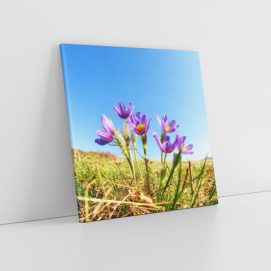 Obraz na płótnie 60x60 - Kwiatowa siła łąki - kwiaty, łąka