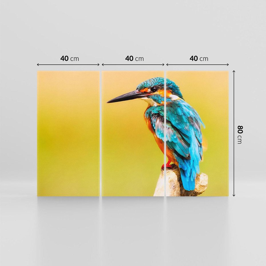 Obraz na płótnie 120x80 - Koliber: Kolorowy taniec w powietrzu - koliber, ptak