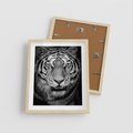 Plakat w ramie 40x50 - Tygrys Czarno-Biały: Siła i Delikatność - tygrys, czarno - rama drewno