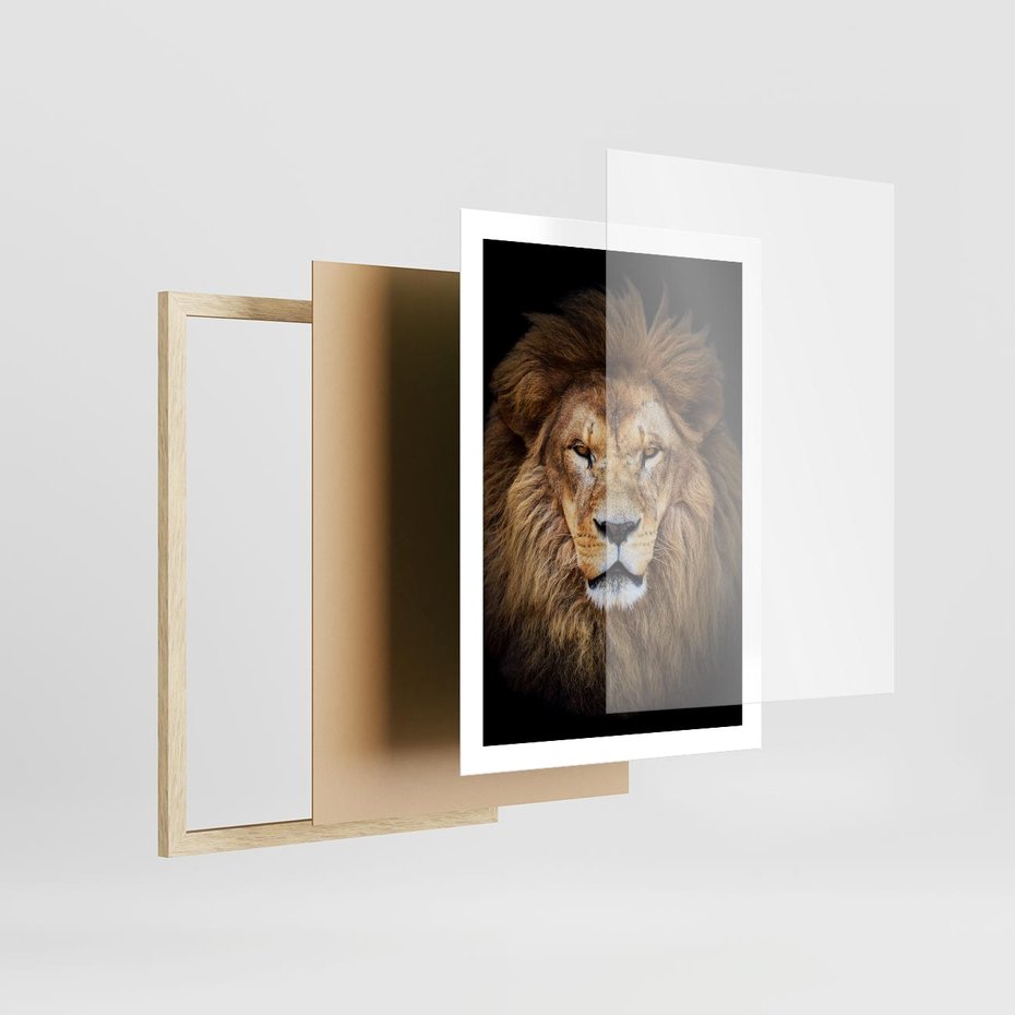 Plakat w ramie 50x70 - Król zwierząt w majestatycznym stylu - lew, król - rama drewno