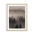 Plakat w ramie 50x70 - Mglista Opowieść Lasu - las, mgła - rama drewno