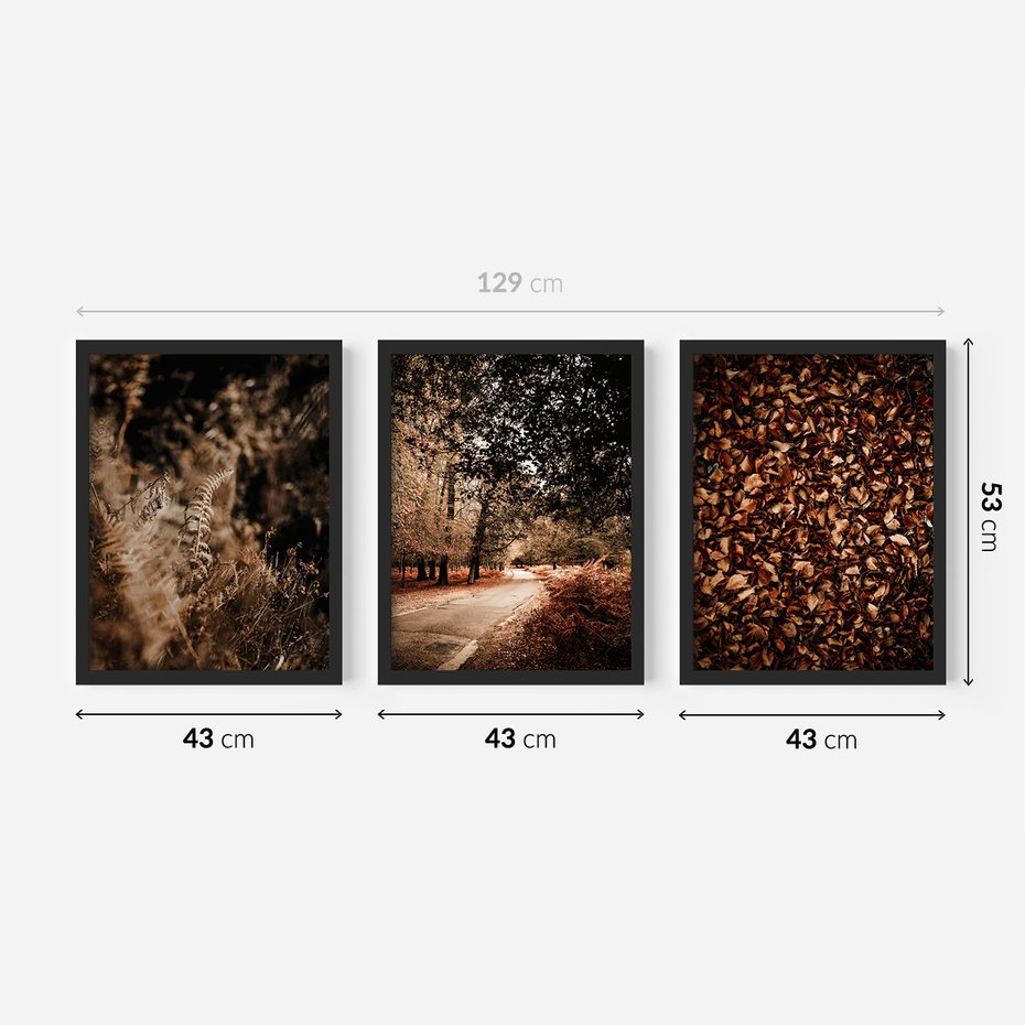 Zestaw obrazy w ramie 40x50 galeria - Jesienne, liście, nostalgia - rama czarna
