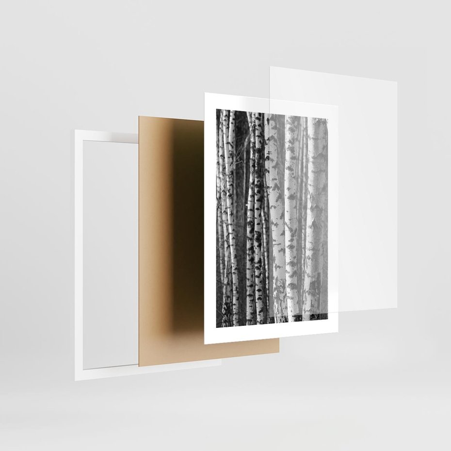 Plakat w ramie 30x40 - Kontrast Monochromatyczny - brzozy, czarno - rama biała