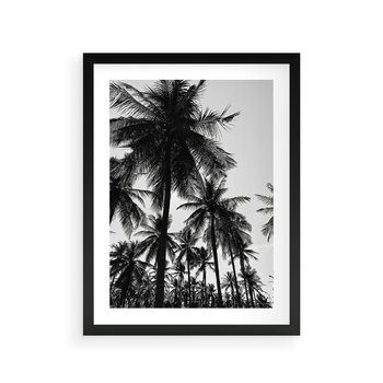Plakat w ramie 40x50 - Mono Tropiki - palmy, drzewa palmowe - rama czarna