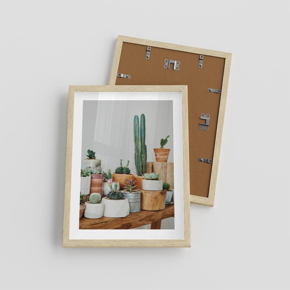 Plakat w ramie 30x40 - Kaktusowa Galeria w Doniczkach - kaktusy w doniczkach, fotografia - rama drewno