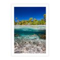 Plakat bez ramy 21x30 - Tropikalne Morze i Kolorowa Rafa - tropikalne, morze