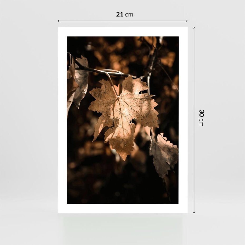 Plakat bez ramy 21x30 - Uroczy Liść na Drzewie - jesienny liść, żółty liść na drzewie