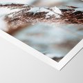 Plakat bez ramy 30x40 - Zima na Suchych Trawach - suche trawy, śnieg wysokich na trawach