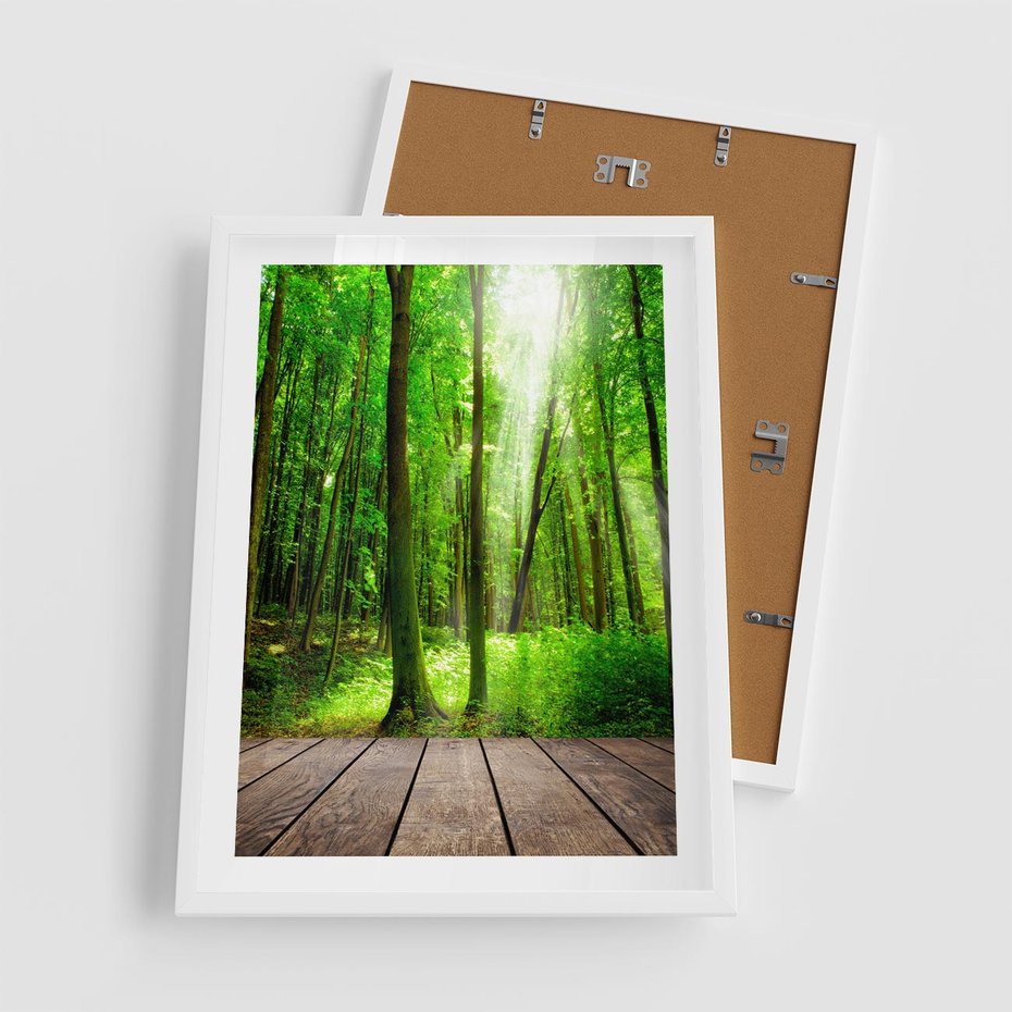 Plakat w ramie 50x70 - Spacer po urokliwej dróżce w lesie - las, dróżka - rama biała