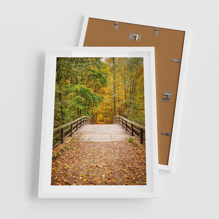 Plakat w ramie 50x70 - Spacer Ścieżką w Las - ścieżka, spacer - rama biała