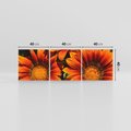 Obraz na płótnie 120x40 - Kwiatowa Esencja - kwiat, kwiaty