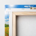 Obraz na płótnie 80x80 - Malownicze maki na łące - maki, łąka
