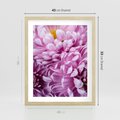 Plakat w ramie 40x50 - Fioletowy zawrót głowy - kwiat, różowy kwiat - rama drewno