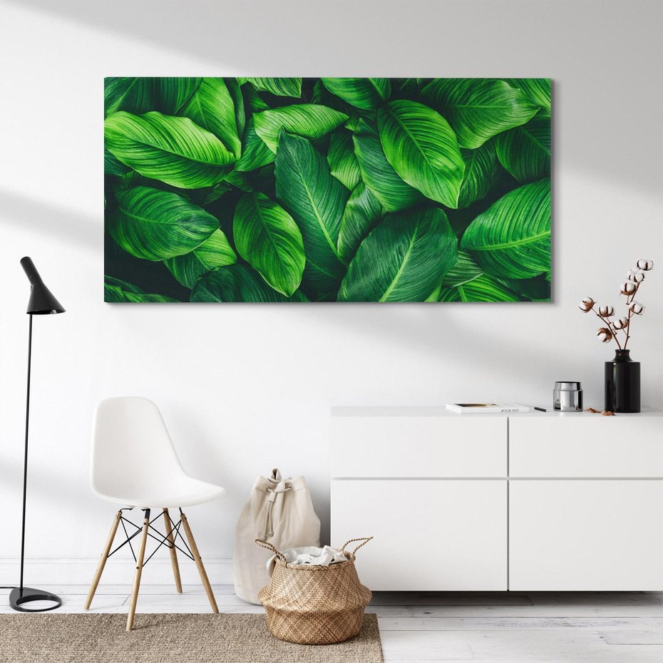 Obraz na płótnie 120x60 - Palma Liście Kwiat - palma, liście