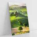 Obraz na płótnie 80x120 - Prowansja: malownicze winnice w kraju Włoch - Prowansja, Włochy