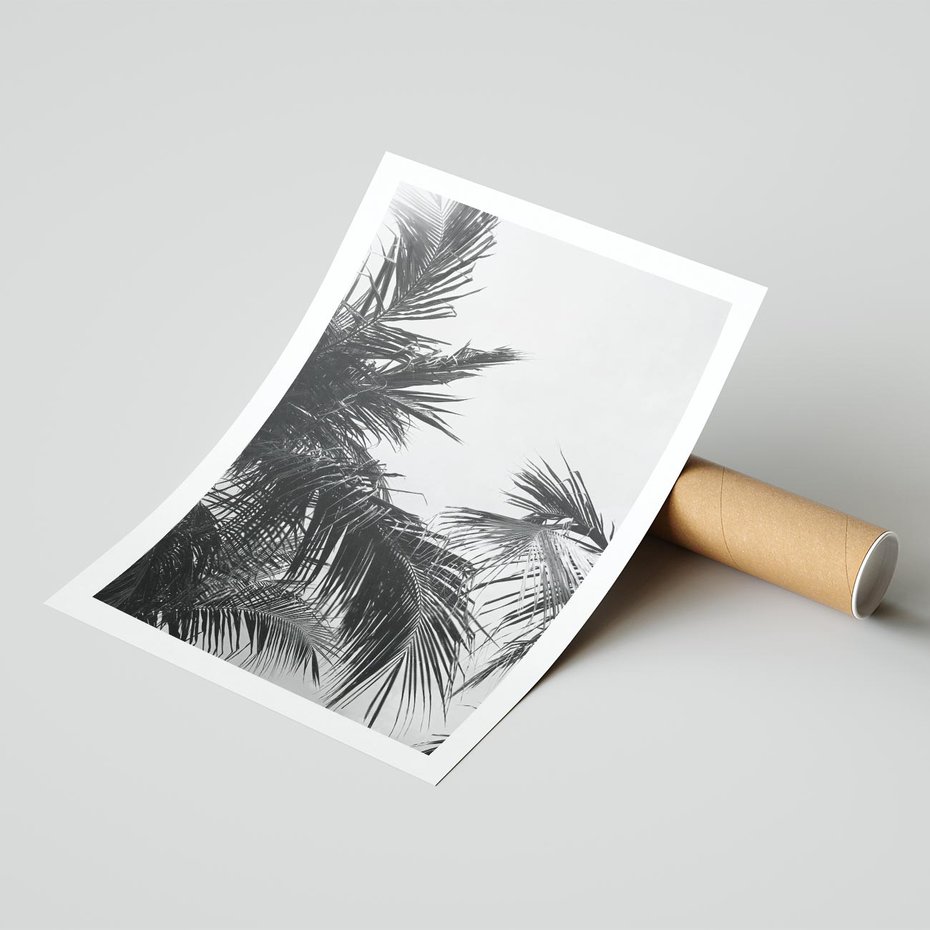 Plakat bez ramy 40x50 - Palmy w Monochromii - palmy, tropikalne palmy