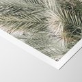 Plakat bez ramy 30x40 - Egzotyczny Świat Palm - palmy, liście palmy
