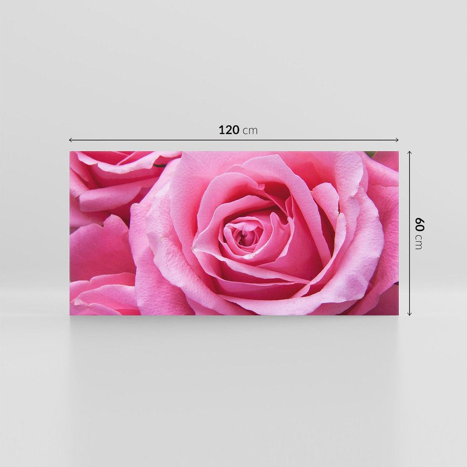 Obraz na płótnie 120x60 - Róża Wspaniałości - róża, kwiat