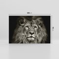 Obraz na płótnie 100x70 - Moc lewego spojrzenia - lew, czarno