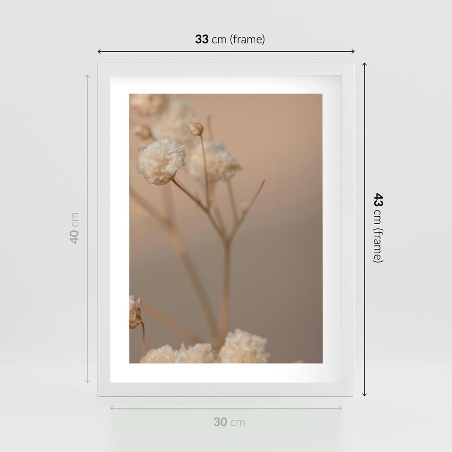 Plakat w ramie 30x40 - Subtelna gipsówka - gipsówka, suche - rama biała