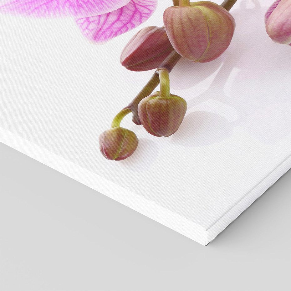 Obraz na płótnie 70x50 - Elegancka orchidea w pełnym rozkwicie - orchidea, kwiat