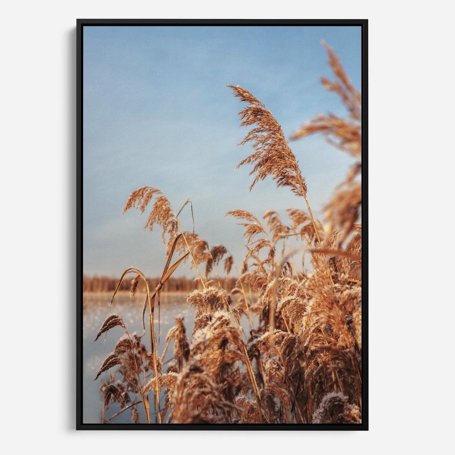 Obraz w ramie 70x100 - Wyraz Stylu - trawy, boho - rama czarna