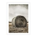 Plakat bez ramy 21x30 - Siano w Sepii: Wiejska Tradycja - snopek siana, bela siana