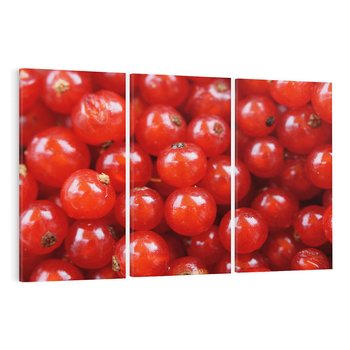 Obraz na płótnie 120x80 - Pożeczka - Czerwony Skarb - pożeczka, owoc