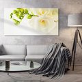 Obraz na płótnie 140x70 - Subtelność białych frezji - frezja, białe