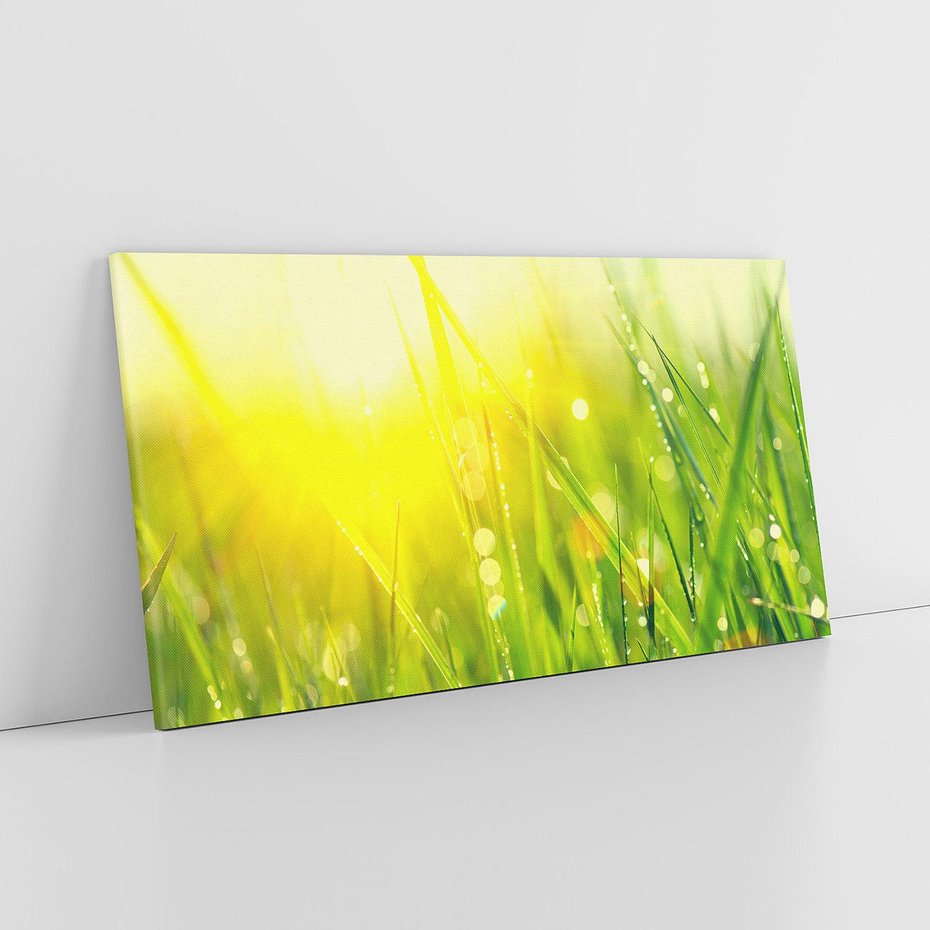 Obraz na płótnie 120x60 - Piękno Poranka - łąka, trawa