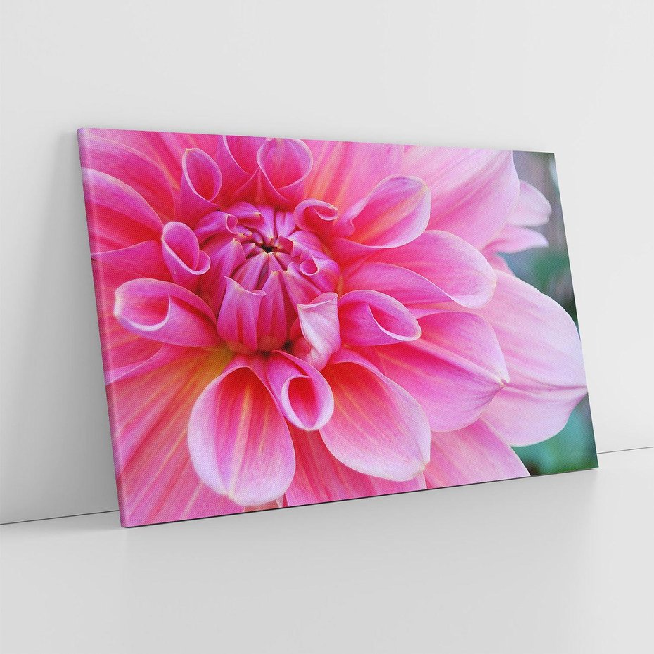 Obraz na płótnie 70x50 - Kwiatowy taniec różnorodność natury - kwiat, kwiaty