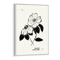Obraz w ramie 50x70 - Poezja kwiecistej kreski - kwiaty, minimalistyczne - rama biała