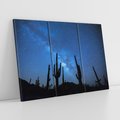 Obraz na płótnie 120x80 - Kaktusy - Niebo z gwiazdami - kaktusy, niebo
