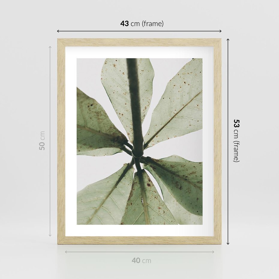 Plakat w ramie 40x50 - Jasna Zieleń w Makro - makro zdjęcie liści, jasna zieleń - rama drewno