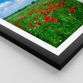 Plakat w ramie 40x50 - Kolorowa łąka pełna maku - łąka, maki - rama czarna