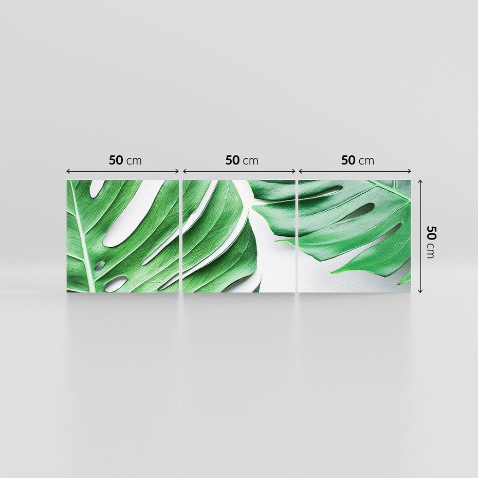 Obraz na płótnie 150x50 - Monstera - Liście Kwiaty - monstera, liście