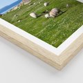 Plakat w ramie 50x70 - Górskie Owce - góry, owce - rama drewno