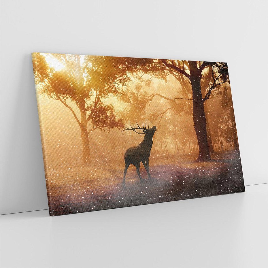 Obraz na płótnie 70x50 - Spotkanie jelena w lesie - jeleń, las