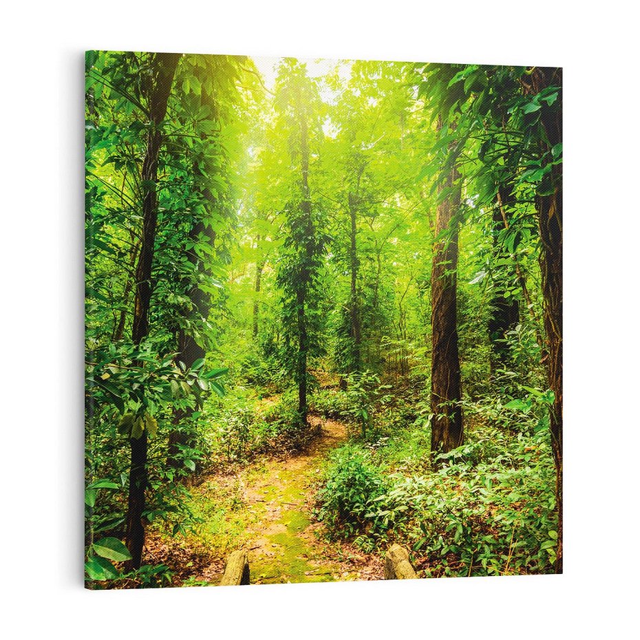 Obraz na płótnie 40x40 - Współistnienie z naturą - drzewa, las