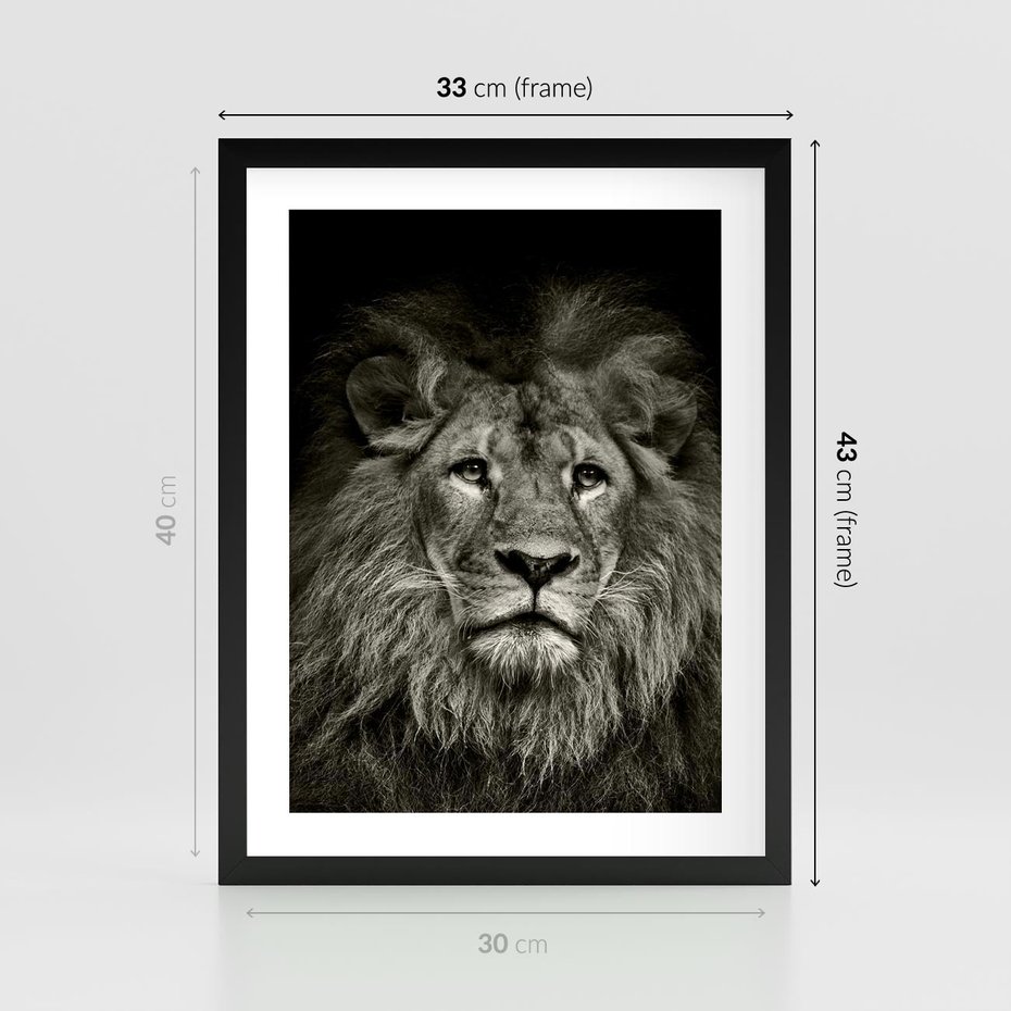 Plakat w ramie 30x40 - Moc lewego spojrzenia - lew, czarno - rama czarna