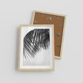 Plakat w ramie 30x40 - Czarno-Biały Kontrast - czarno białe zdjecie, palma - rama drewno