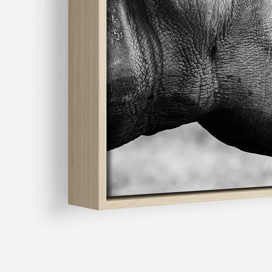 Obraz w ramie 50x50 - Potęga Afryki - czarno biała fotografia, zbliżenie na postać nosorożca - rama drewno