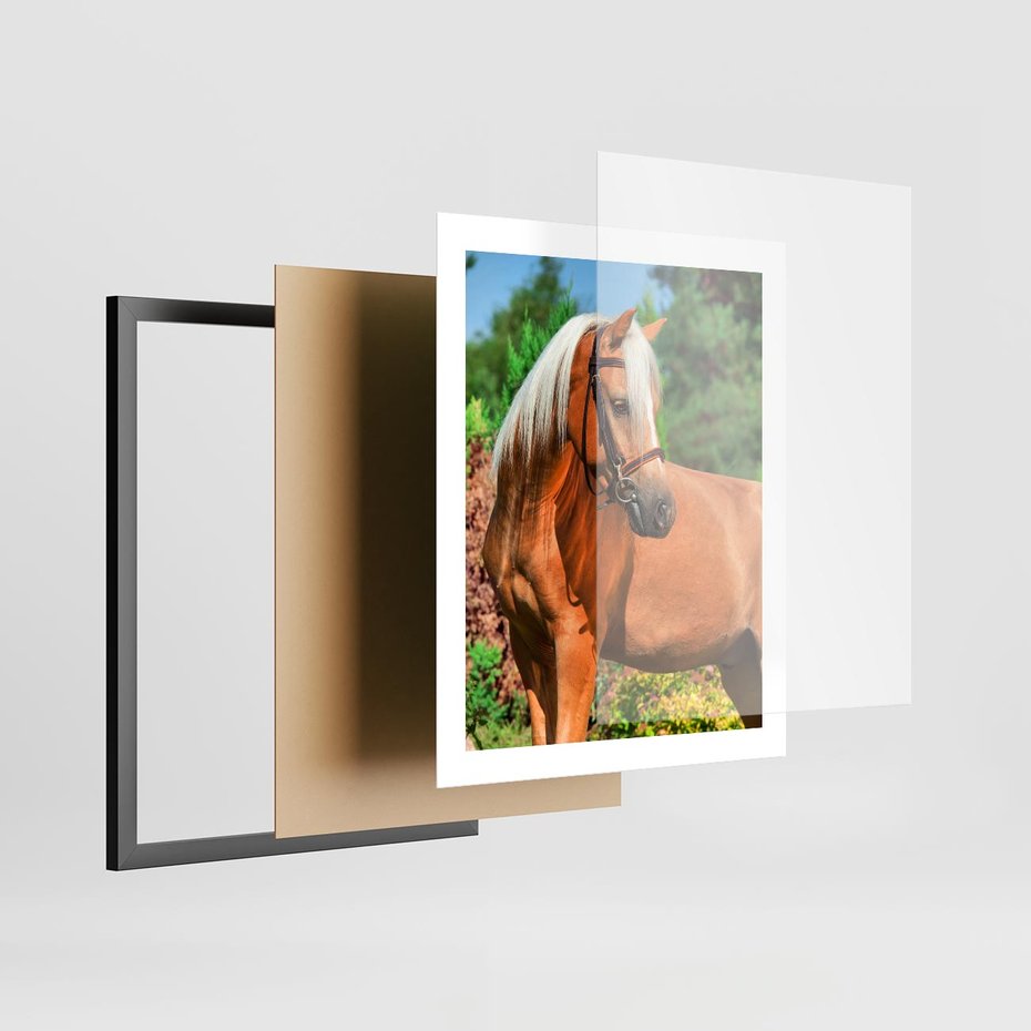 Plakat w ramie 40x50 - Elegancki wierzchowiec - koń, portret - rama czarna
