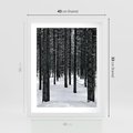 Plakat w ramie 40x50 - Zimowe Drzewa: Śnieg na Pniach - drzew w zimi, pnie drzew - rama biała