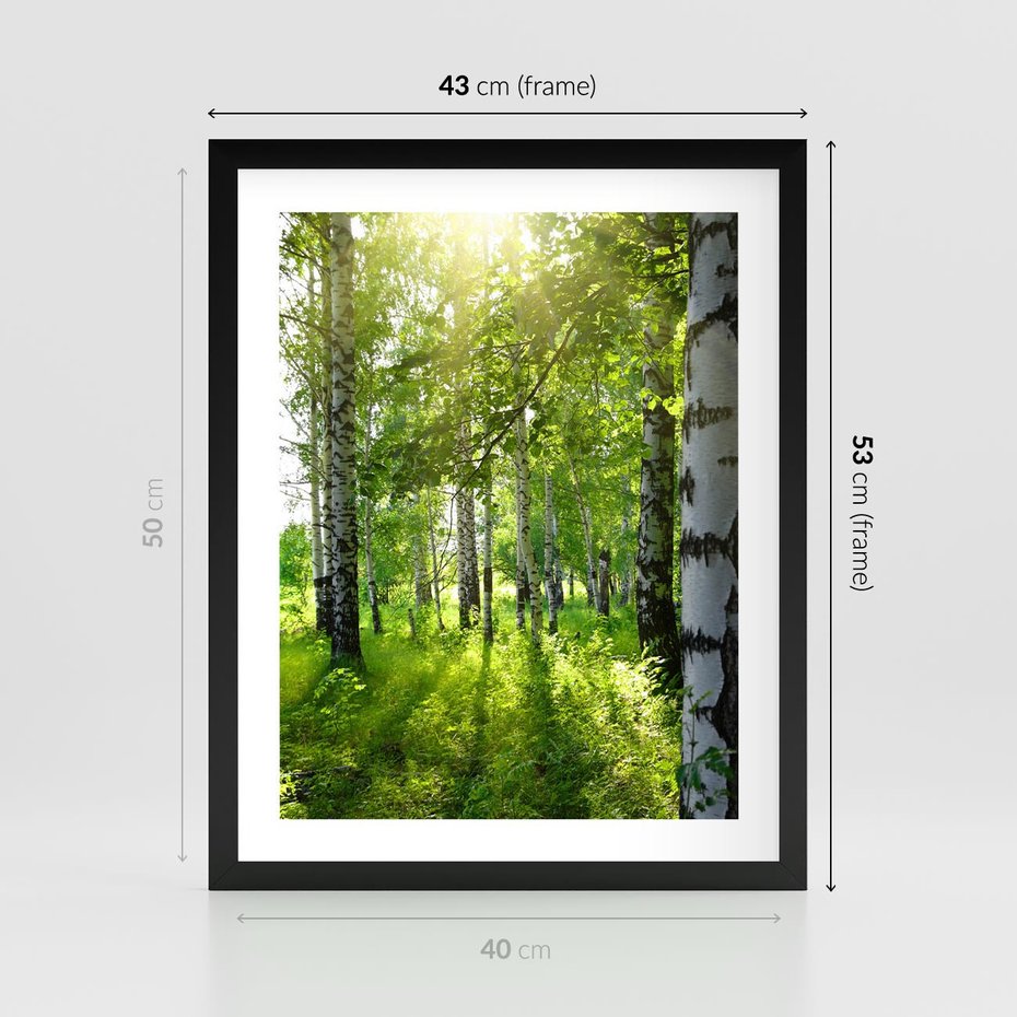 Plakat w ramie 40x50 - Lasowa Księżycowa Noc - las, drzewa - rama czarna