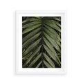 Plakat w ramie 40x50 - W Liściach Ukryte - zdjęcie, fotografia - rama biała