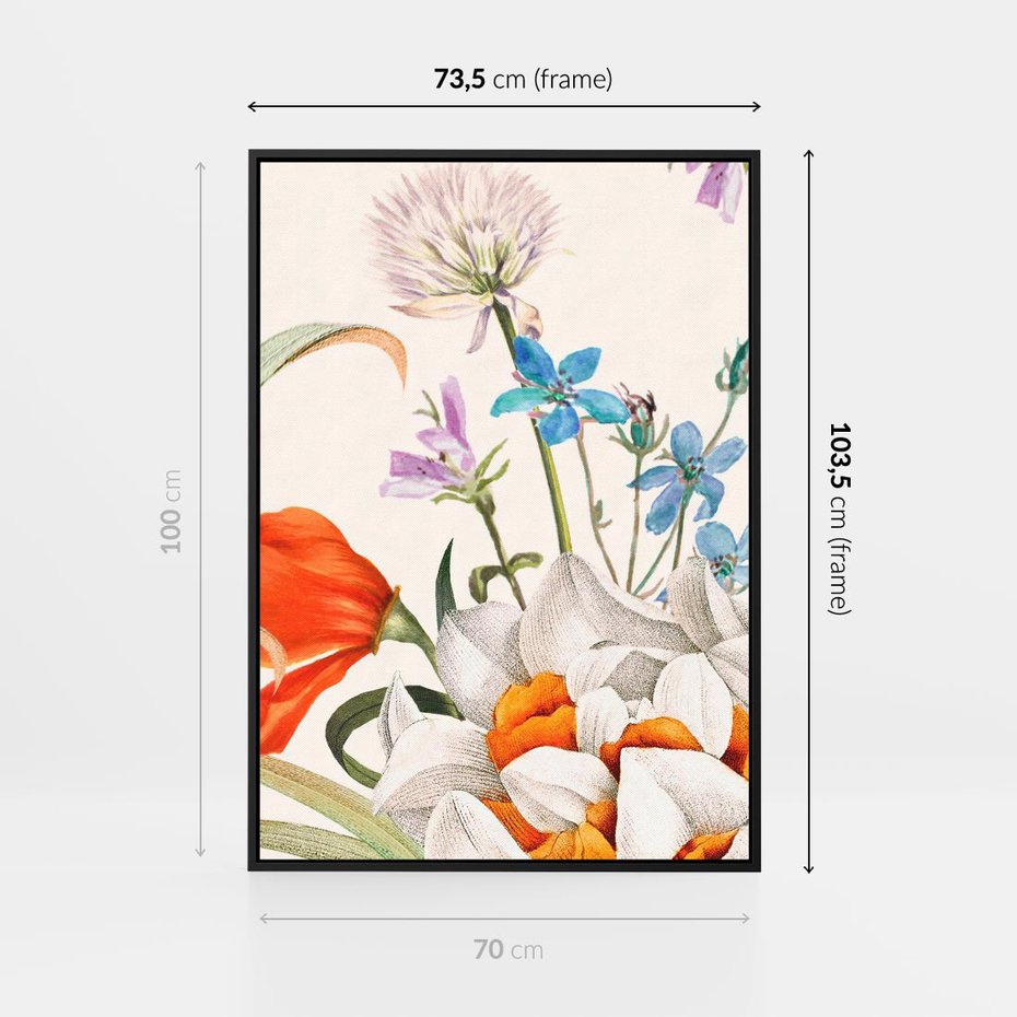 Obraz w ramie 70x100 - Polne Kwiaty - polne kwiaty, na białym tle - rama czarna