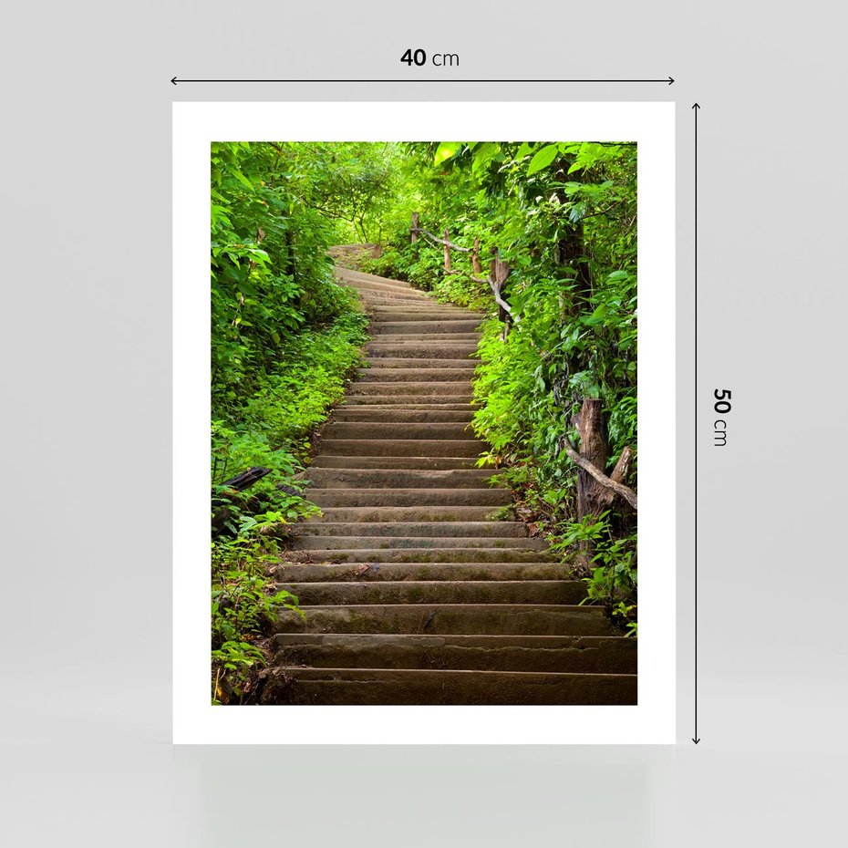 Plakat bez ramy 40x50 - Magia Leśnej Ścieżki - ścieżka, w lesie