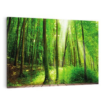 Obraz na płótnie 100x70 - Spacer po urokliwej dróżce w lesie - las, dróżka