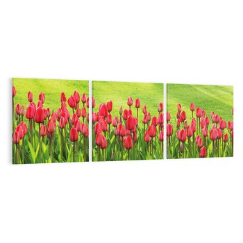 Obraz na płótnie 150x50 - Tulipanowy raj - kwiat, kwiaty